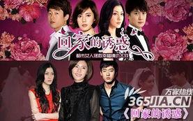 回家的绣惑电视剧,归途之谜，情感纠葛的归家之旅